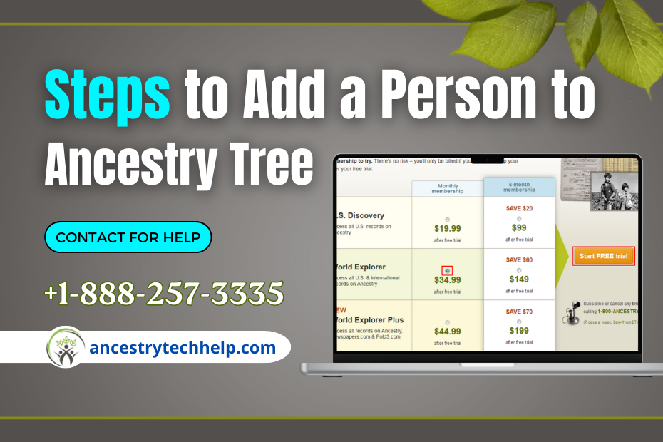 Steps to Add a Person to Ancestry Tree