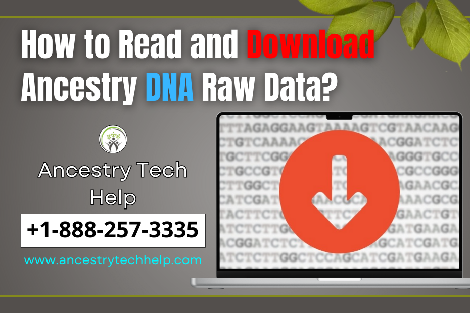 How to Read and Download Ancestry DNA Raw Data?