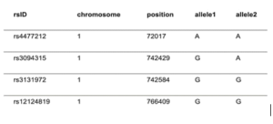 How to Read Raw DNA Data from Ancestry?