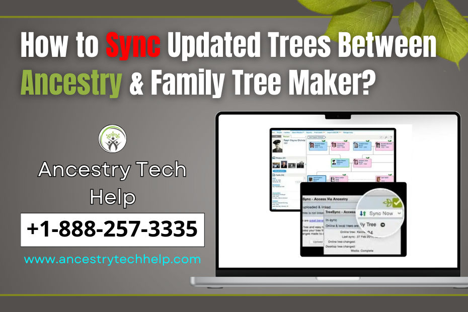 How to Updated Trees Between Sync Ancestry & Family Tree Maker?